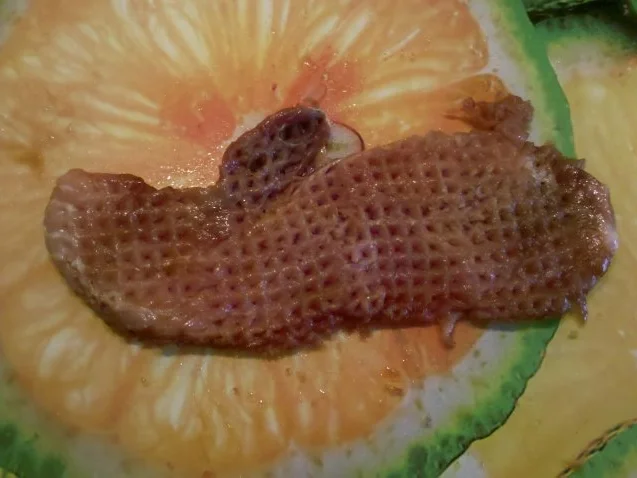 Fleisch: Schnelles Asiaschnitzel mit Pommes - Rezept - Bild Nr. 3