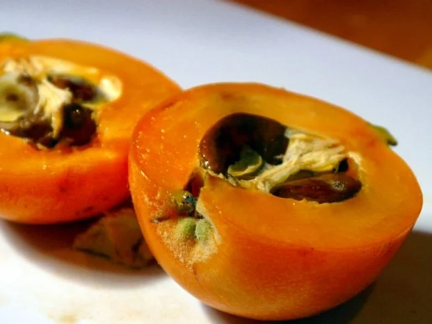 Mispel-Tonka-Rum-Marmelade - Rezept - Bild Nr. 3