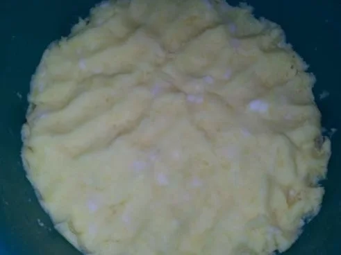 Rezept: Schweinenackensteak mit Pfifferling - Tomatensoße nach Dieter Neumaier Bild Nr. 32 Schweinenackensteak mit Pfifferling - Tomatensoße nach Dieter Neumaier - Rezept - Bild Nr. 32