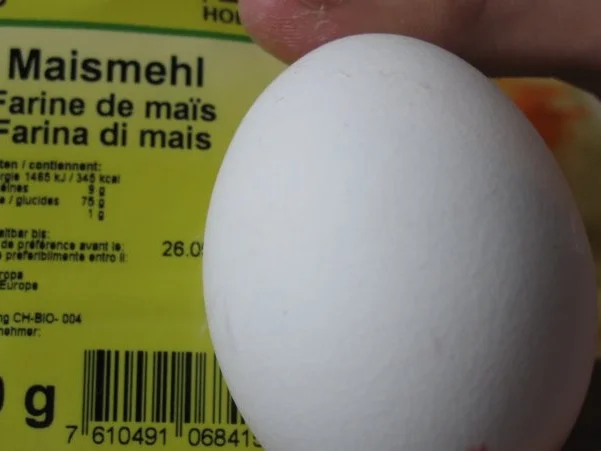 Reibekuchen - Rezept - Bild Nr. 6