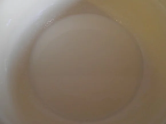 Rezept: Heidelbeer - Ricotta - Eis Bild Nr. 5 Heidelbeer - Ricotta - Eis - Rezept - Bild Nr. 5