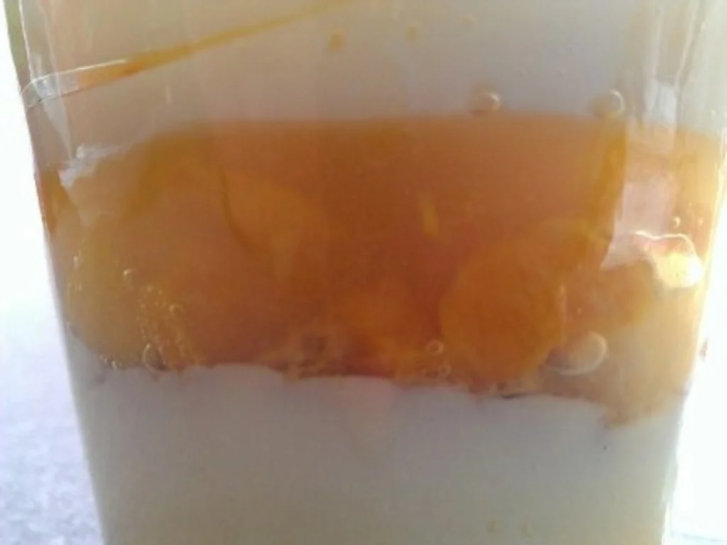 Obst und Pudding ist eine frische Abwechslung - Rezept - Bild Nr. 13