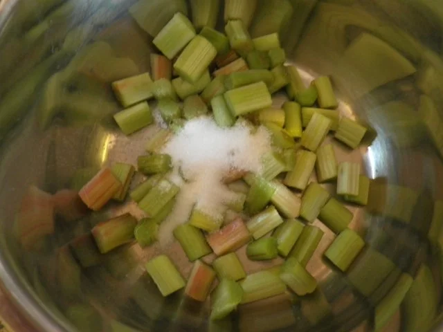 Rhabarber - Erdbeer - Kompott - Rezept - Bild Nr. 3