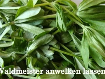 Rezept: Rote Trauben-Waldmeister Gelee Bild Nr. 2 Rote Trauben-Waldmeister Gelee - Rezept - Bild Nr. 2