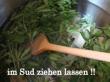 Rezept: Rote Trauben-Waldmeister Gelee Bild Nr. 4 Rote Trauben-Waldmeister Gelee - Rezept - Bild Nr. 4