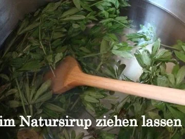 Waldmeistersirup - Rezept - Bild Nr. 3