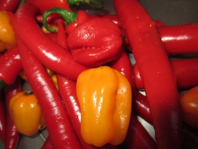 Feuer-Sauce - Rezept - Bild Nr. 2