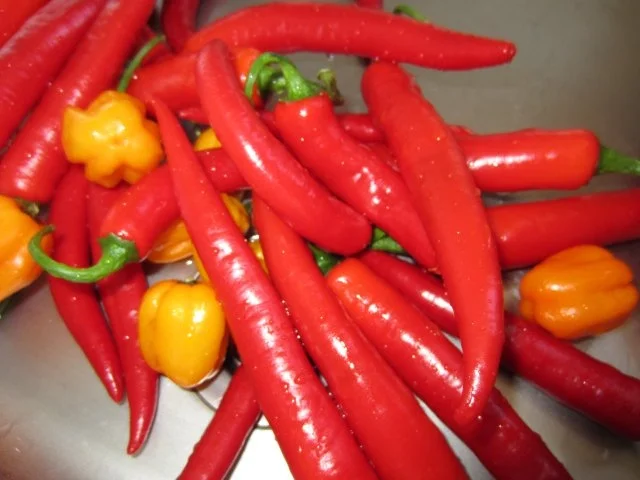 Feuer-Sauce - Rezept - Bild Nr. 3