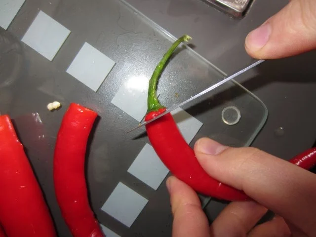 Feuer-Sauce - Rezept - Bild Nr. 4