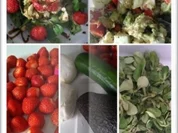 Avocado Erdbeersalat - Rezept - Bild Nr. 19
