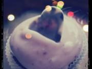 Raspberry Cupcakes - Rezept