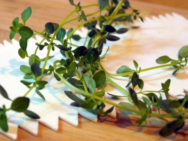 Scharfes Huhn im Weizen - Rezept - Bild Nr. 8