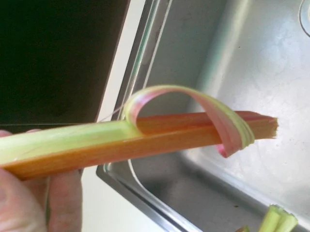 Rhabarber Kuchen mit Eierhaube...Das Beste vom Rhabarber - Rezept - Bild Nr. 5