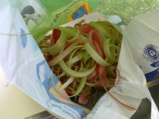 Rhabarber Kuchen mit Eierhaube...Das Beste vom Rhabarber - Rezept - Bild Nr. 6