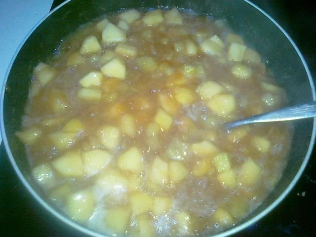 Rhabarber Kuchen mit Eierhaube...Das Beste vom Rhabarber - Rezept - Bild Nr. 17