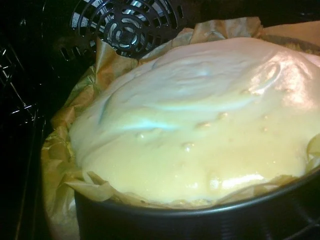 Rhabarber Kuchen mit Eierhaube...Das Beste vom Rhabarber - Rezept - Bild Nr. 29