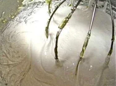 Erdbeeren mit Eischneecreme - Rezept - Bild Nr. 13