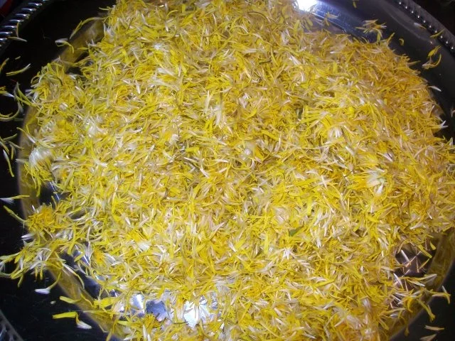 Rezept: Löwenzahn Gelee Bild Nr. 2 Löwenzahn Gelee - Rezept - Bild Nr. 2