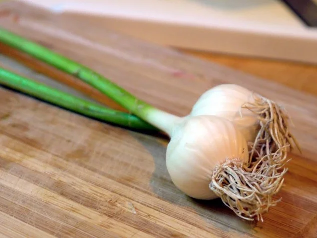 Rezept: Tomatenspätzle mit gebratenen Zucchini und Schafkäse Bild Nr. 5 Tomatenspätzle mit gebratenen Zucchini und Schafkäse - Rezept - Bild Nr. 5