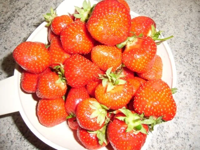 Rezept: ♥ Erdbeertorte ♥ Bild Nr. 15 ♥ Erdbeertorte ♥ - Rezept - Bild Nr. 15