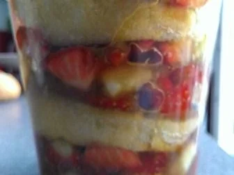 Geschichtete Obstsorten mit Biskuit Keksen - Rezept - Bild Nr. 13