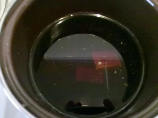 Fisch: Pikanter Kabeljau mit Dill-Senfsoße und thailändischen Klebreis - Rezept - Bild Nr. 5