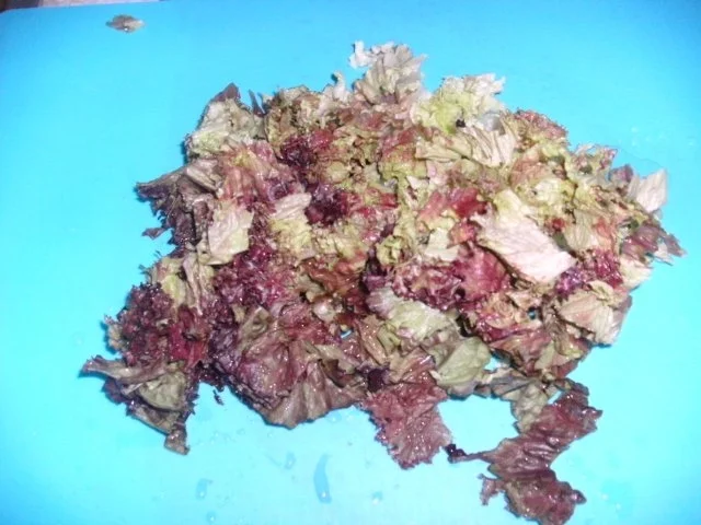 Rezept: Gemischter Salat Bild Nr. 6 Gemischter Salat - Rezept - Bild Nr. 6