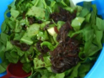 Spinatsalat mit Balsamicozwiebeldressing - Rezept - Bild Nr. 7