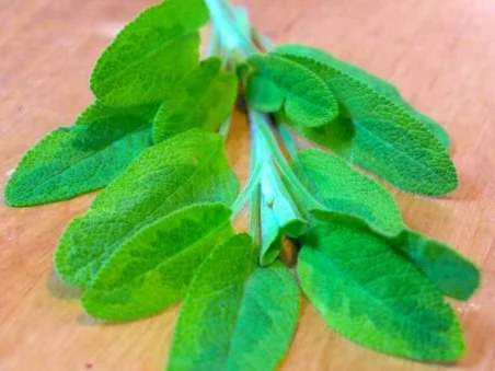 Selfmade Spaghetti with 6-Spices-Chicken - Rezept - Bild Nr. 7