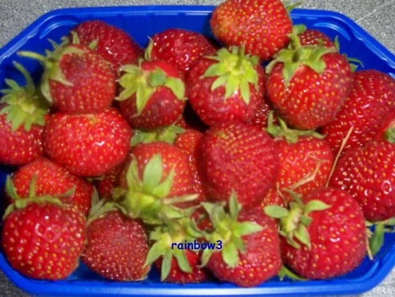 Einmachen: Erdbeer-Marmelade mit Stevia - Rezept - Bild Nr. 3