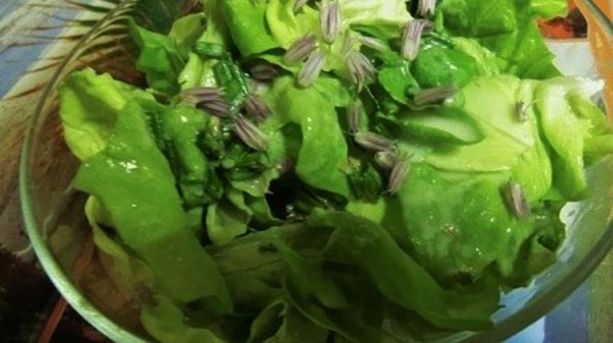 Grüner Salat mit Zitronen-Löwenzahn-Dressing  und Schnittlauch-Blüten - Rezept
