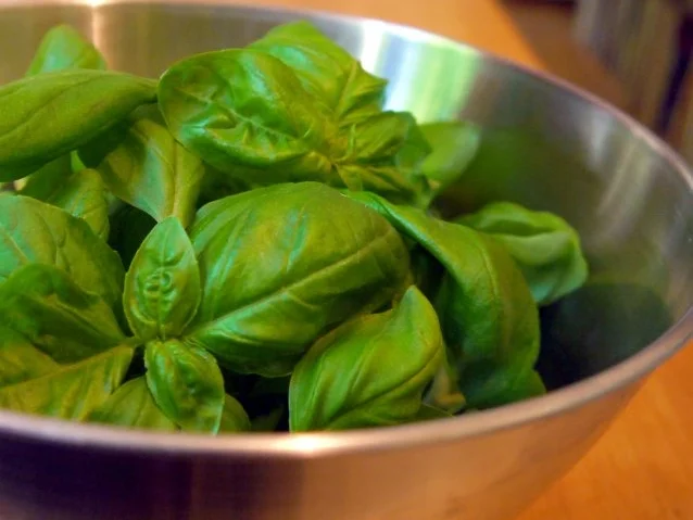 Basilikum-Gelee - Rezept - Bild Nr. 3