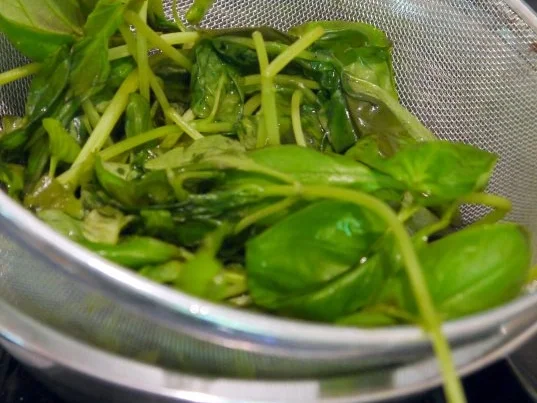 Basilikum-Gelee - Rezept - Bild Nr. 4