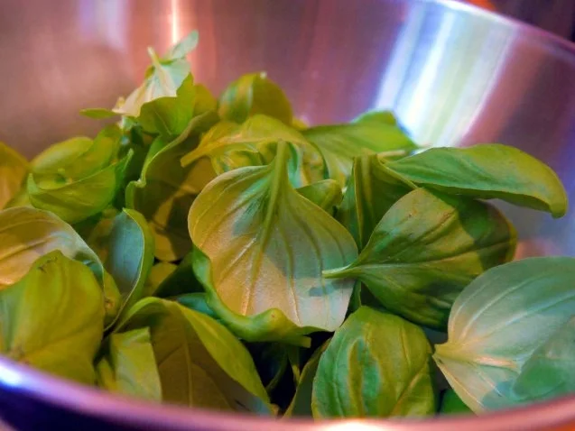 Basilikum-Sirup - Rezept - Bild Nr. 3