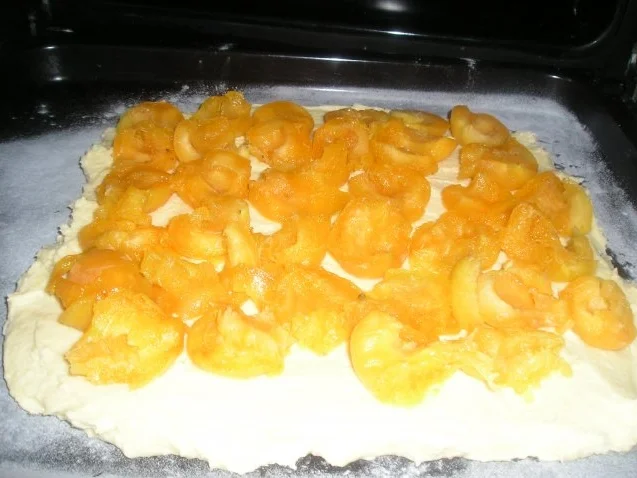 Obstkuchen - Rezept - Bild Nr. 3
