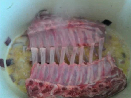 Lammkarreè mit Spitzkohlrahmpürree à la Biggi - Rezept - Bild Nr. 11