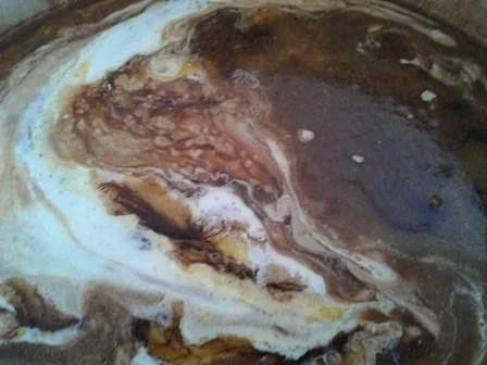 Lammkarreè mit Spitzkohlrahmpürree à la Biggi - Rezept - Bild Nr. 19