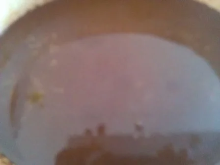 Lammkarreè mit Spitzkohlrahmpürree à la Biggi - Rezept - Bild Nr. 20