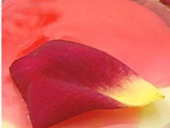 Rezept: Rosenblütensirup Bild Nr. 8 Rosenblütensirup - Rezept - Bild Nr. 8