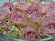 Rezept: Rosenblรผtensirup Bild Nr. 12 Rosenblรผtensirup - Rezept - Bild Nr. 12