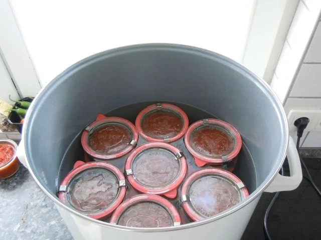 Italienische Tomatensauce - Rezept - Bild Nr. 15