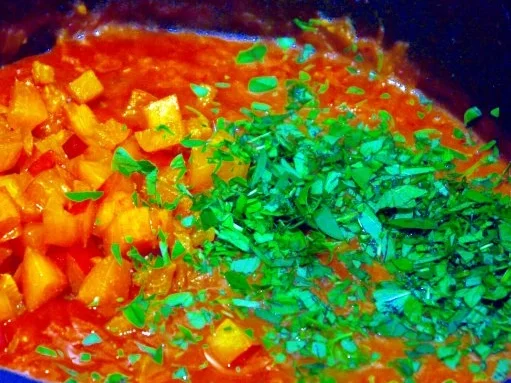 Handgemachte Spaghetti mit Tomaten-Aprikosen-Sugo - Rezept - Bild Nr. 10