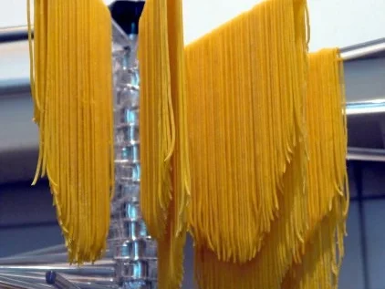 Handgemachte Spaghetti mit Tomaten-Aprikosen-Sugo - Rezept - Bild Nr. 12