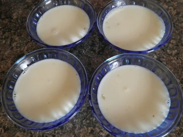 Holunderblüten - Panna Cotta ... - Rezept - Bild Nr. 9