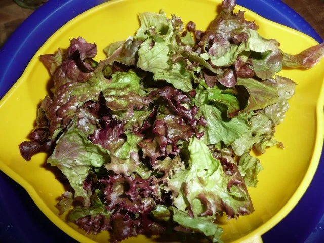 Rumpsteak & Salatschüssel - Rezept - Bild Nr. 3