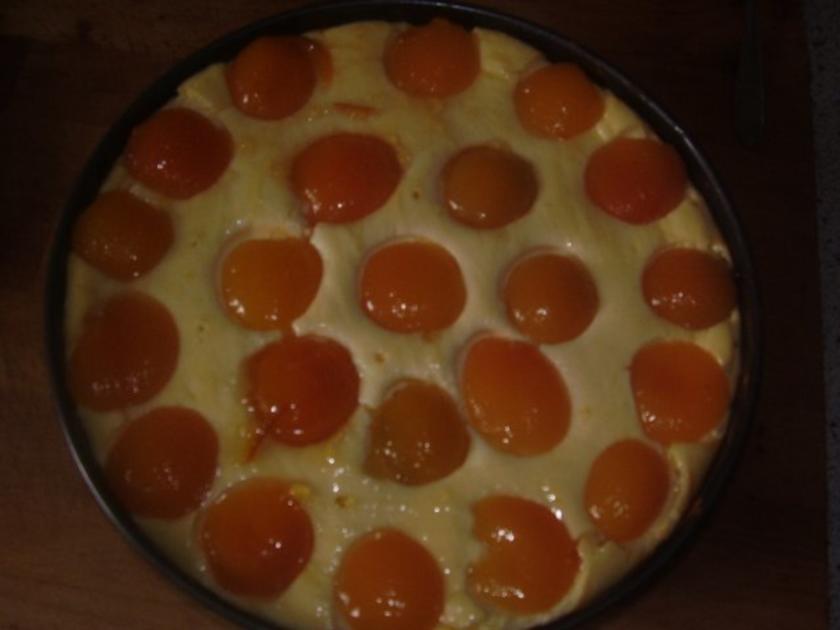 Aprikosen Käsekuchen ohne Boden - einfach - von gabi-63
