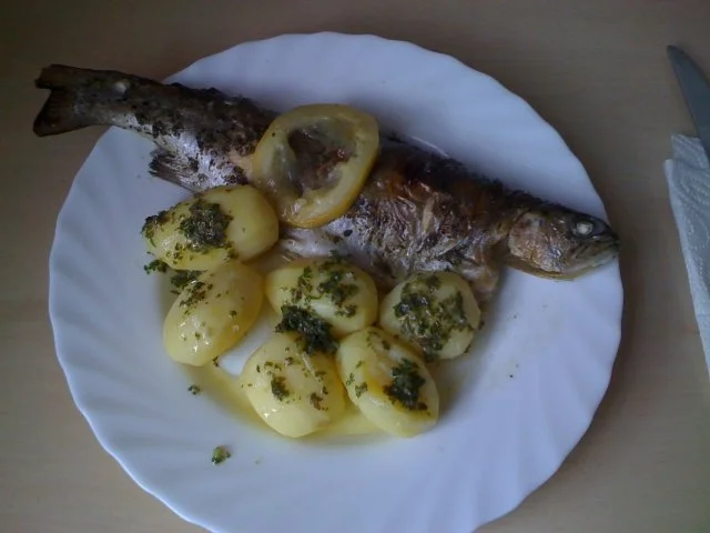 Leo´s Forellenpäckchen - Rezept