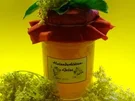 Holunderblüten-Gelee - Rezept