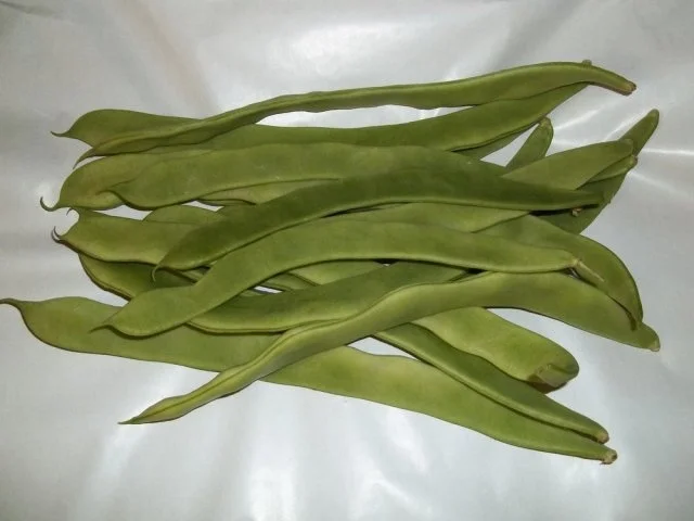 Echte Schneidebohnen nach Ron73 - Rezept