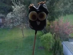 Rezept: Schoko Cake Pops "Light-Variante" Bild Nr. 7 Schoko Cake Pops "Light-Variante" - Rezept - Bild Nr. 7